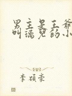 男主是王爷女主叫璃儿的小说