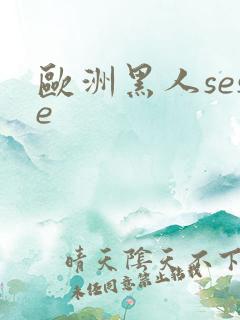欧洲黑人sese