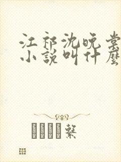 江祁沈晚棠原著小说叫什么