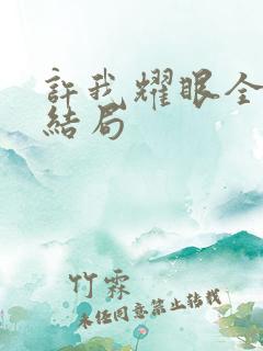 许我耀眼全集大结局