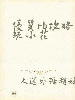 优质rb攻略系统小花