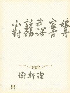 小说我家娘子不对劲洛青舟目录
