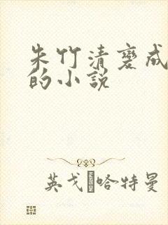 朱竹清变成朱奴的小说