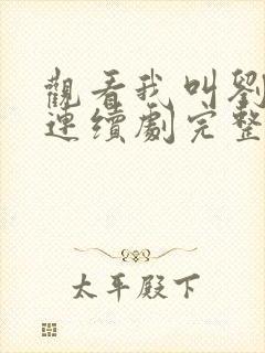 观看我叫刘传说连续剧完整版