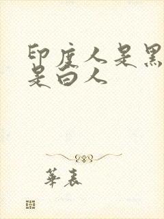 印度人是黑人还是白人