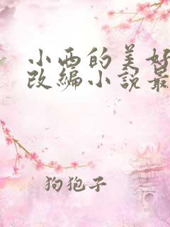 小西的美好河山改编小说最新章节