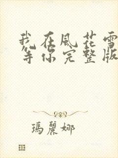 我在风花雪月中等你完整版