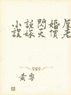 小说闪婚厚爱,误嫁天价老公