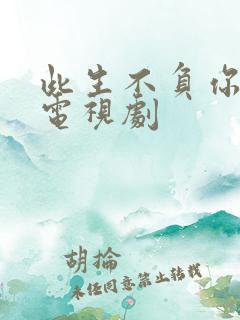 此生不负你情深电视剧