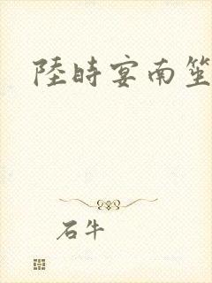 陆时宴南笙小说