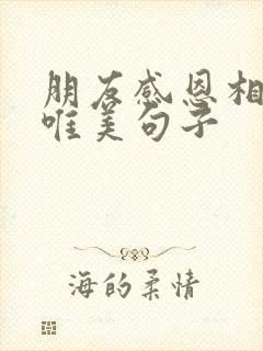 朋友感恩相遇的唯美句子