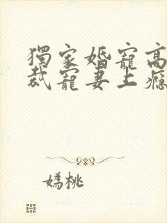 独家婚宠高冷总裁宠妻上瘾