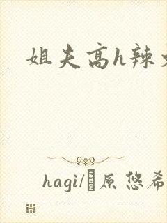 姐夫高h辣文