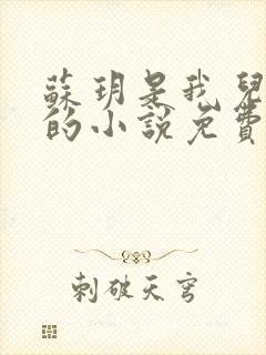 苏玥是我儿媳妇的小说免费阅读