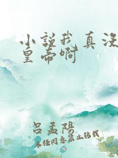 小说我真没想当皇帝啊