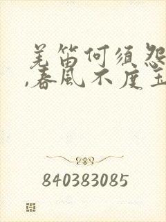 羌笛何须怨杨柳,春风不度玉门关的意思