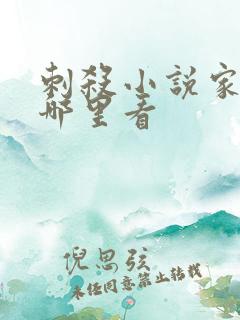 刺杀小说家2在哪里看