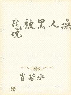 我被黑人操了一晚