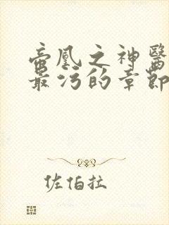 帝凰之神医弃妃最污的章节