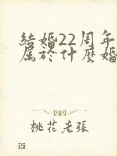 结婚22周年是属于什么婚