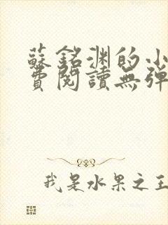 苏铭渊的小说免费阅读无弹窗全文