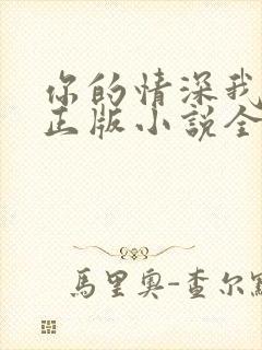 你的情深我不配正版小说全文免费阅读