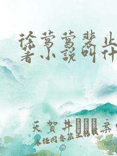 徐莺莺裴止川原著小说叫什么