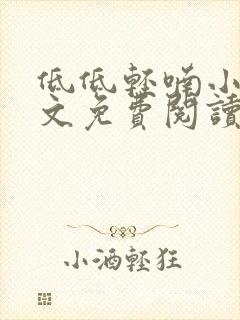 低低轻喃小说全文免费阅读笔趣阁