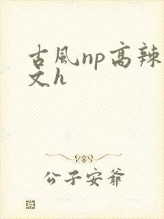 古风np高辣爽文h