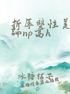 折辱双性美人军师np高h