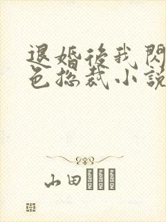 退婚后我闪婚绝色总裁小说