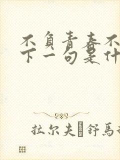 不负青春不负卿下一句是什么