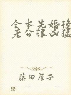 全本先婚后爱:老公很凶猛