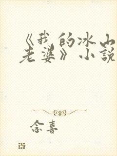 《我的冰山美女老婆》小说