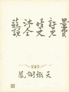 苏沐晴许景辰小说全文免费阅读