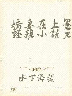 娇妻在上墨少轻轻亲小说免费阅读