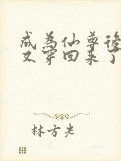 成为仙尊后,她又穿回来了txt