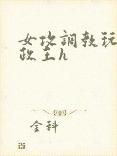 女攻调教玩弄摄政王h