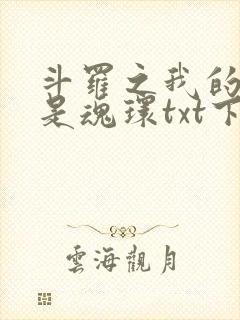 斗罗之我的武魂是魂环txt下载