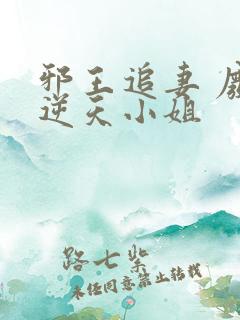 邪王追妻 废材逆天小姐