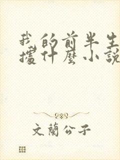 我的前半生是根据什么小说改编的