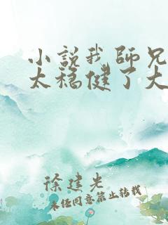 小说我师兄实在太稳健了大结局