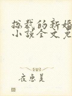 总裁的新婚罪婚小说全文免费阅读