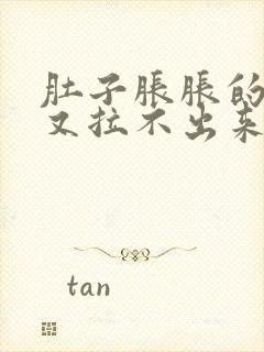 肚子胀胀的拉屎又拉不出来怎么办是什么问题