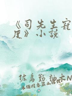 《司先生宠妻无度》小说