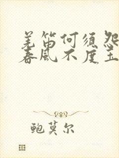 羌笛何须怨杨柳春风不度玉门关诗