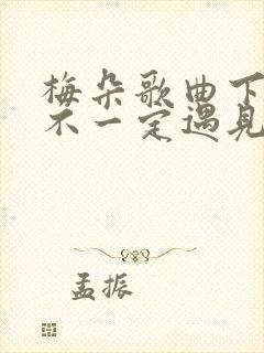 梅朵歌曲下辈子不一定遇见你原唱