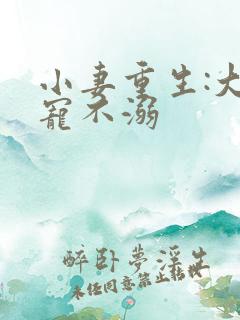 小妻重生:大佬宠不溺