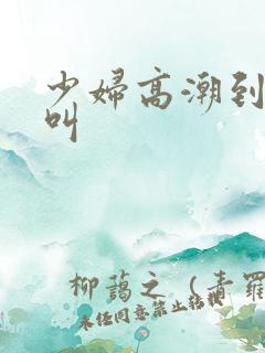 少妇高潮到嗷嗷叫