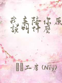 我来陪你原著小说叫什么